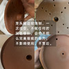 活力陶芽乐罐（发芽罐，随机送两包生态豆子）| 公平贸易 *Sprouting jar | Fair-Trade 商品缩略图1