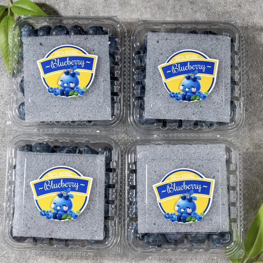 【云南抚仙湖花香蓝莓】 顺丰空运到家 L25花香蓝莓 自然种植 新鲜采摘 商品图7