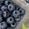 【云南抚仙湖花香蓝莓】 顺丰空运到家 L25花香蓝莓 自然种植 新鲜采摘 商品缩略图1