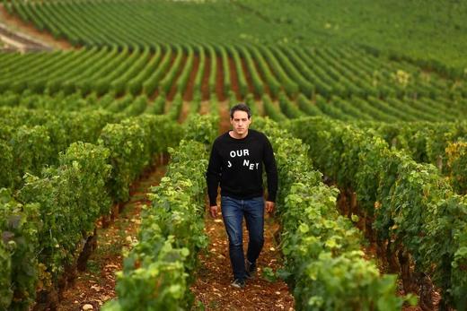 夏维舒酒庄勃艮第菲美洛干白葡萄酒 Domaine Chavy Chouet Bourgogne "Les Femelottes" blanc 商品图2