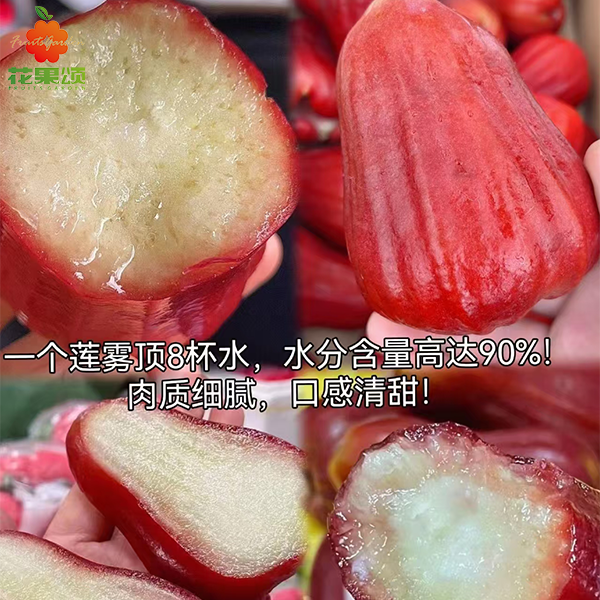 黑金刚莲雾一盒两个