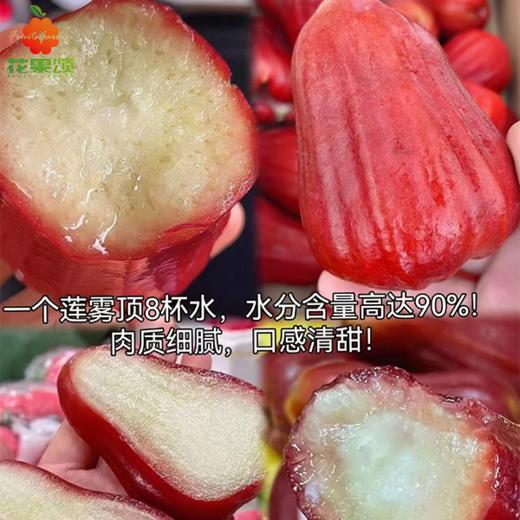 黑金刚莲雾一盒两个 商品图0