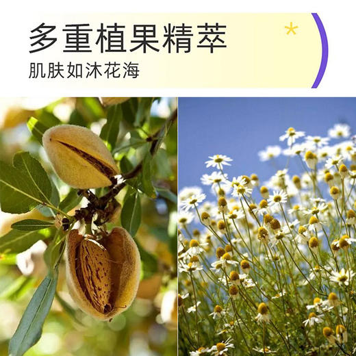 韩国进口安宝笛香水沐浴露500g 【 甜蜜之恋I 快乐微风系列】 商品图4