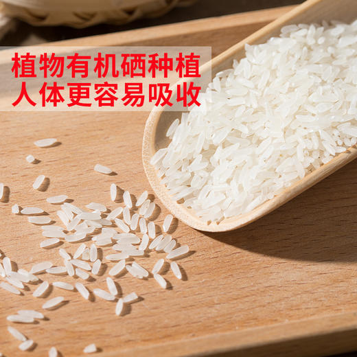 莲乡福莲花硒米 5kg（当季新米） 商品图3