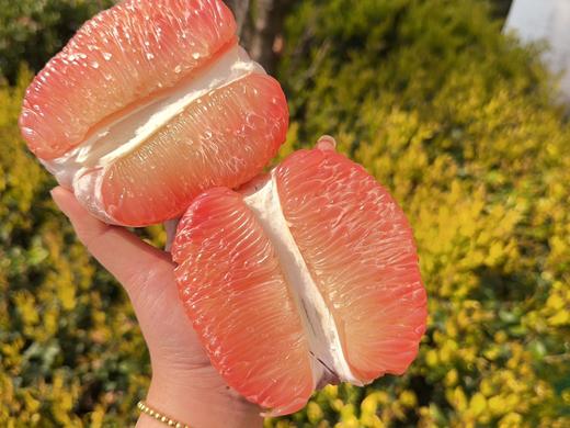 泰国·红心翡翠柚 商品图2