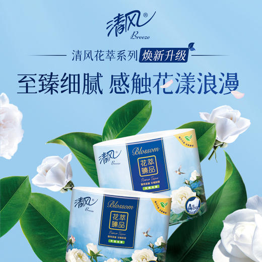 清风牌花萃有芯10卷卷筒卫生纸2000g 【原生木浆】 商品图6