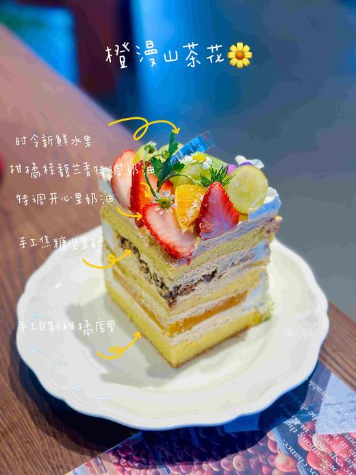 橙漫山茶花·mini奶糕 商品图1