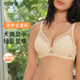 [浮梦杯全罩杯]文胸蕾丝大胸显小聚拢承托女士文胸