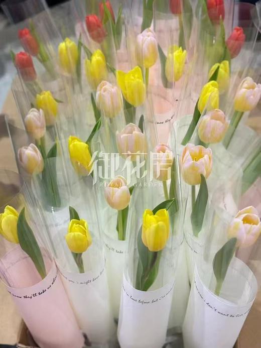 单支花礼（郁金香/玫瑰）10份起购 商品图0