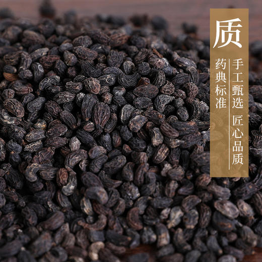 酒女贞子 康美中药饮片 独立小包装 商品图2