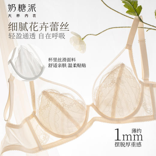 [浮梦杯全罩杯]文胸蕾丝大胸显小聚拢承托女士文胸 商品图3