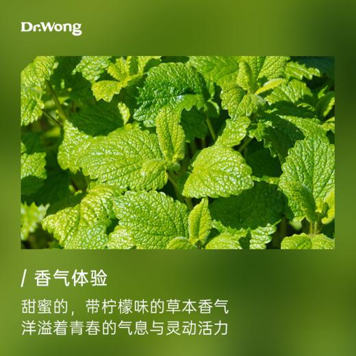 香蜂草 单方精油 商品图1