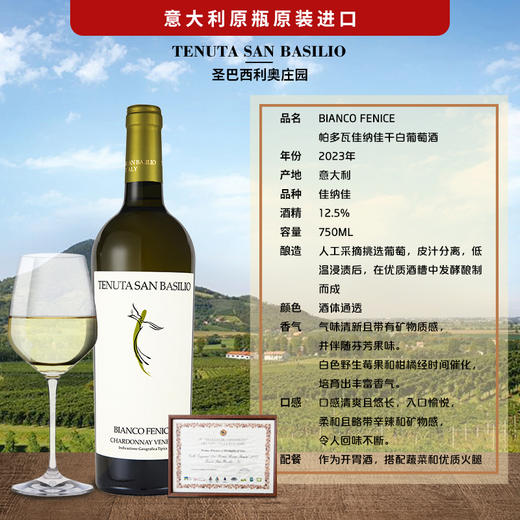 意大利帕多瓦佳纳佳干白葡萄酒 750ML 酒精度12.5%vol  原瓶原装进口 商品图1