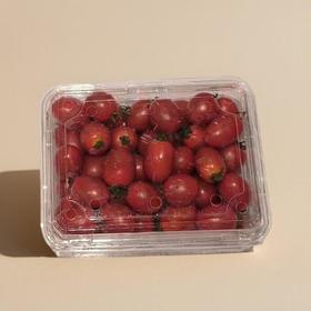 玲珑小番茄 约600g/份