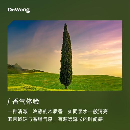 丝柏 单方精油 商品图1