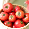 生态草莓西红柿/番茄（包邮） | 绿家自产*Ecological tomato | In-House Production 商品缩略图2