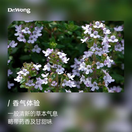 沉香醇百里香 单方精油 商品图1