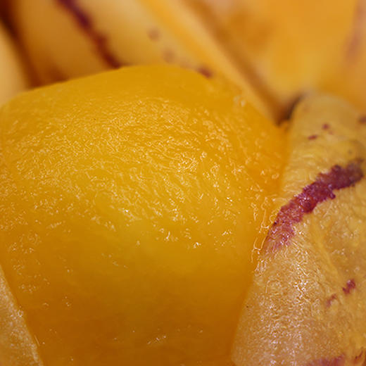 云南石林树上熟人参果5斤大果/中果 商品图10