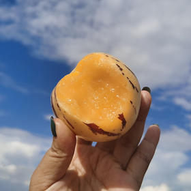 云南石林树上熟人参果5斤大果/中果