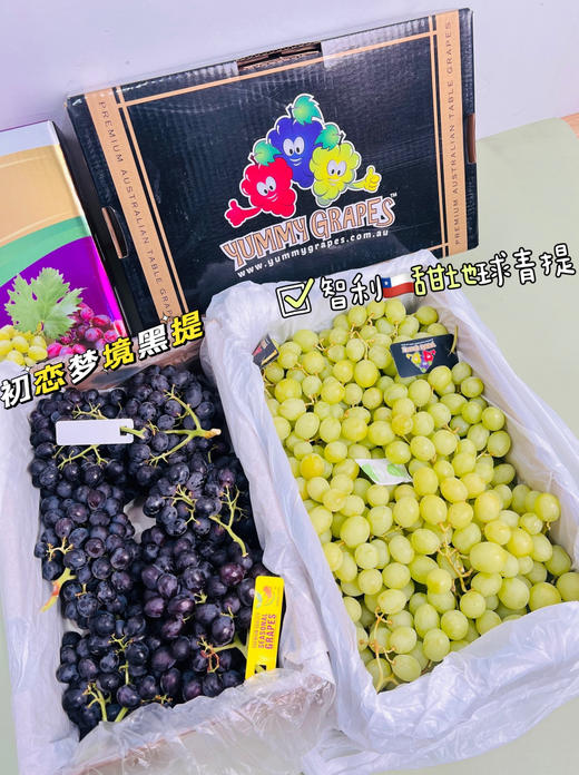 澳洲甜地球青提 商品图5