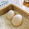 【超级爆款-排队至4月16后日发货】扬德林下土鸡蛋（40枚/箱） 商品缩略图4