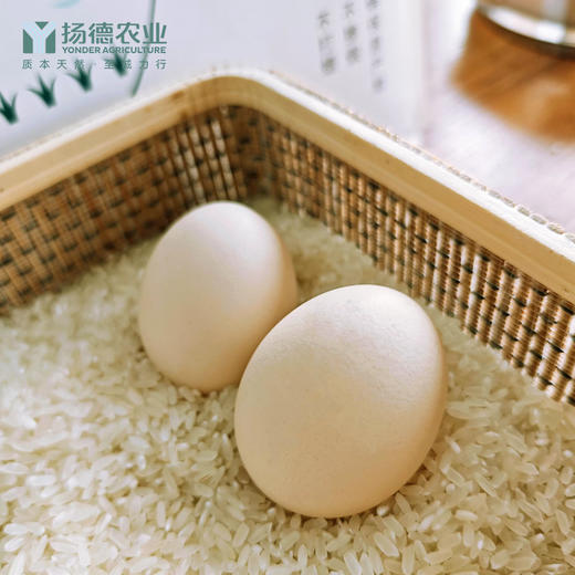 【超级爆款-排队至4月16后日发货】扬德林下土鸡蛋（40枚/箱） 商品图4