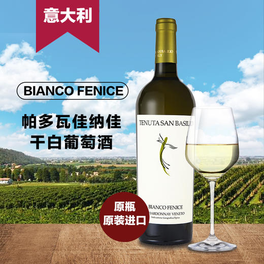 意大利帕多瓦佳纳佳干白葡萄酒 750ML 酒精度12.5%vol  原瓶原装进口 商品图0