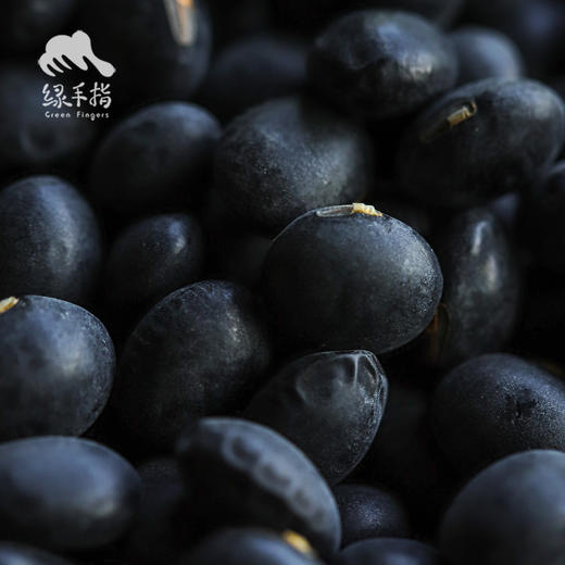 生态青皮黄豆/黑豆/红豆（适合发芽） | 合作生产*Ecological bean | Partner Production 商品图1