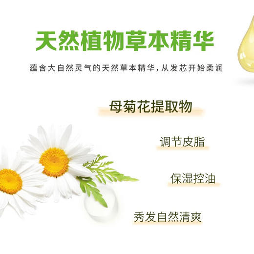 【分仓直发包邮】惠润洗发露600ml（绿野芳香/鲜花芳香） 商品图3