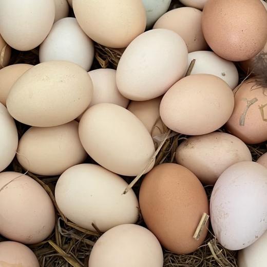 土鸡蛋 招牌土鸡蛋 蛋黄香香的 商品图2