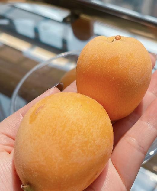 完熟枇杷 纯甜 果肉多 礼盒装 商品图6