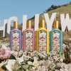 Gucci古驰绮梦栀子香型女士香水花香调浓香水持久留香30ml 50ml 90ml 商品缩略图0
