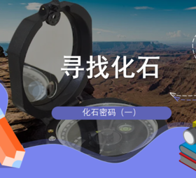 【南京】寻找化石
