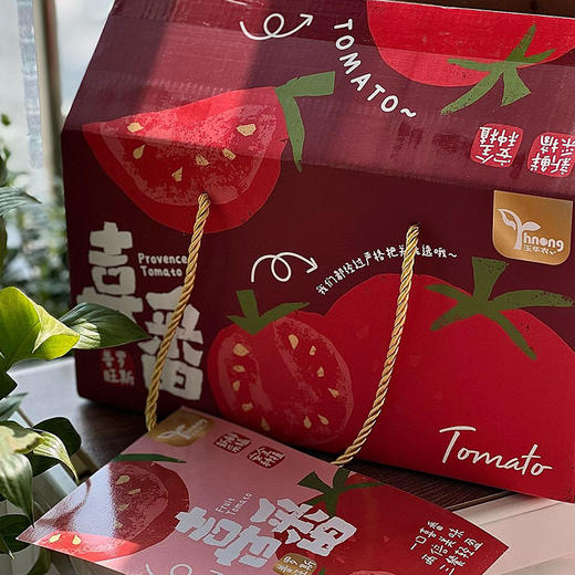 普罗旺斯西红柿 新鲜水果 甜美多汁 商品图4