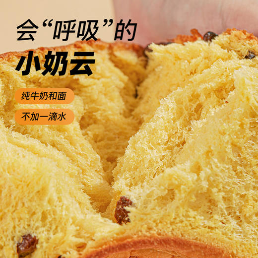 甘香提子北海道吐司 210g 商品图3