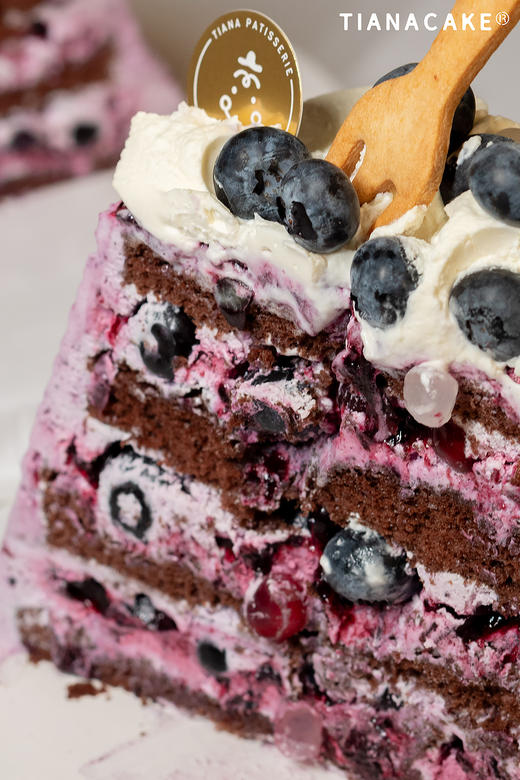 四寸莓果星辰 商品图2