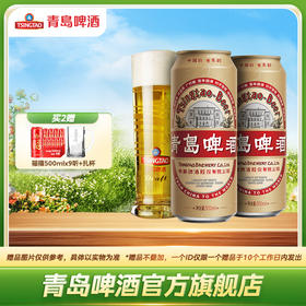 青岛啤酒经典国潮500ml*12罐啤