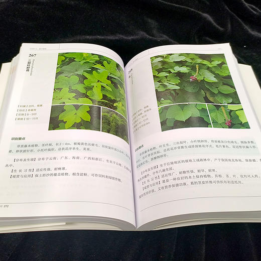 《600种郊野植物图鉴》 商品图8