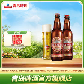 青岛啤酒国潮450ml*12箱啤