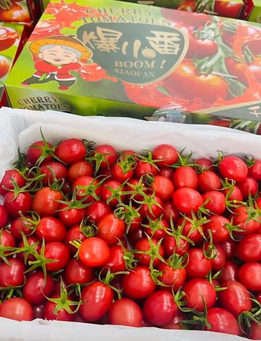 蕃老大红千禧小番茄 商品图13