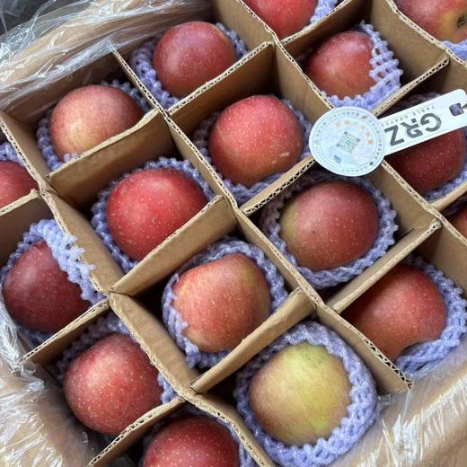 昭通糖心苹果 脆甜多汁 商品图9