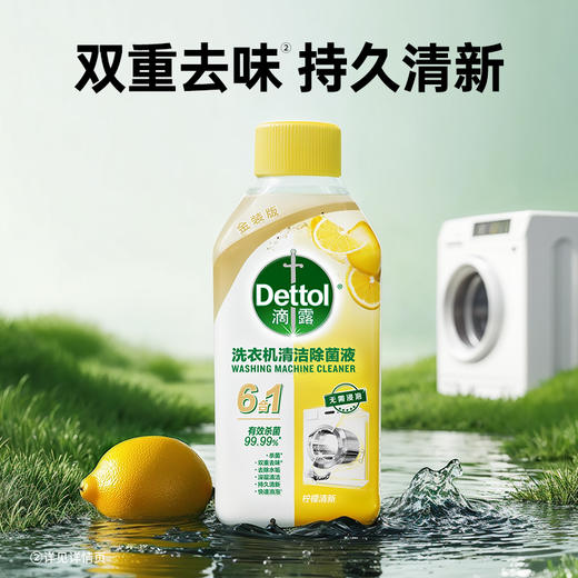 滴露Dettol 洗衣机清洁除菌液250ml*6 松木/柠檬 五效合一 高效去垢 72小时发货 商品图6