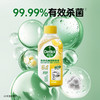 滴露Dettol 洗衣机清洁除菌液250ml*6 松木/柠檬 五效合一 高效去垢 72小时发货 商品缩略图4