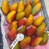 海南树熟贵妃芒 芒果 商品缩略图4
