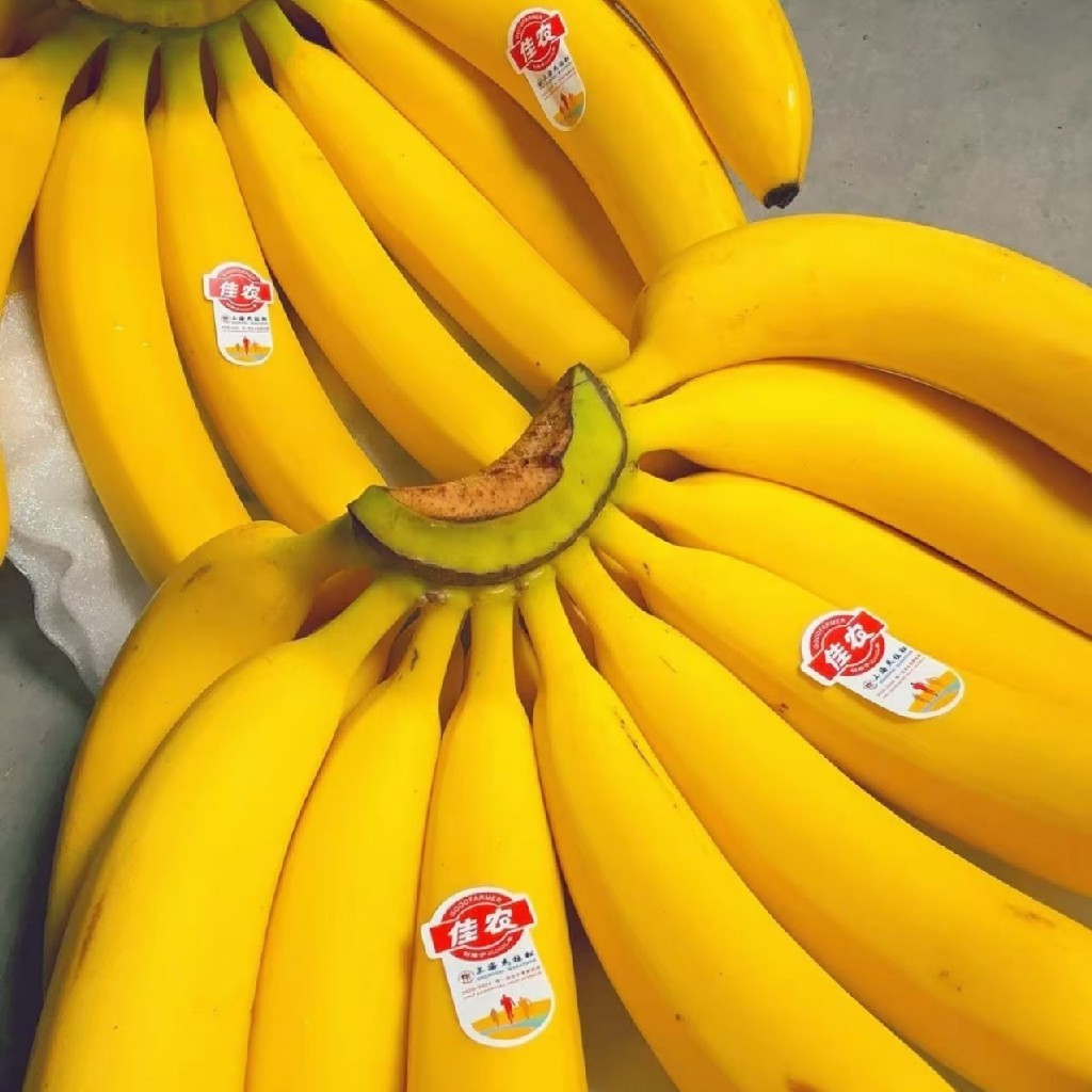进口香蕉
