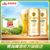 青岛啤酒 白啤500ml*12听/箱 全麦酿造 商品缩略图0