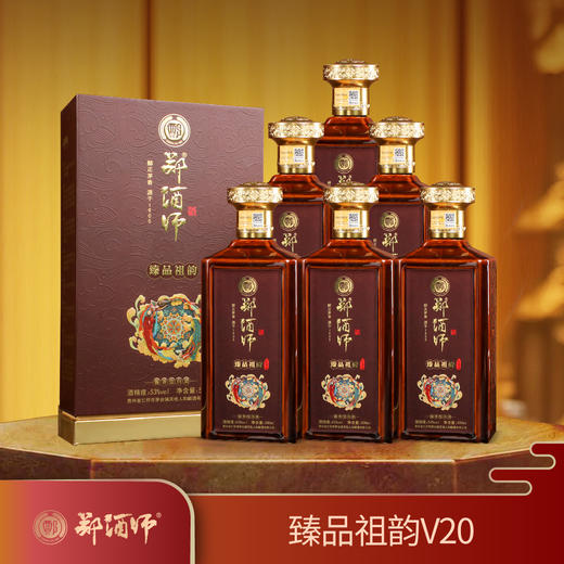 郑酒师·臻品祖韵酒（V20）53度500ml 6瓶装 商品图0