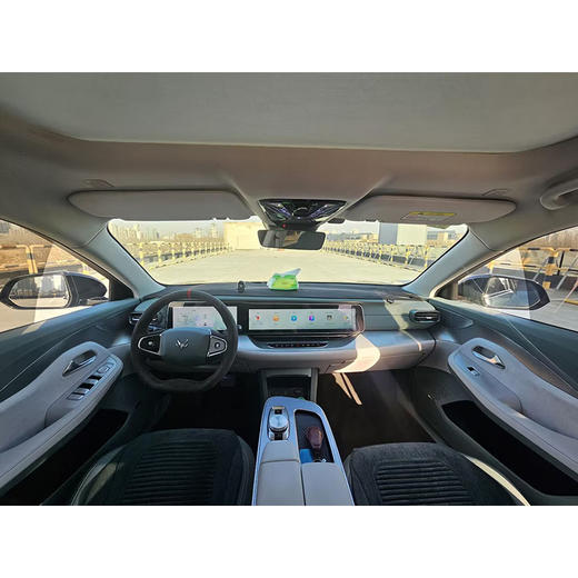 极狐 阿尔法s  650E 森林版PRO 175kw【长租-北京】 商品图3
