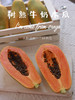 树熟木瓜，皮薄、肉厚、多汁、香甜 商品缩略图4