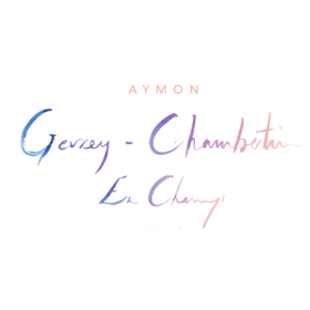 Aymon Gevrey Chambertin En Champs安梦庄园香贝单村级干红葡萄酒2023会员价1360